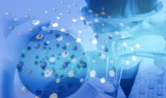 氢气气调保鲜技术的研究与应用 ——以韭菜与虾米保鲜为例