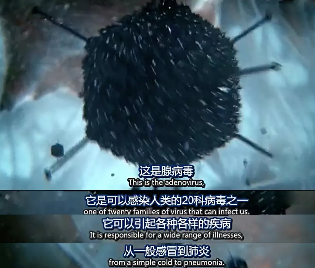 关于病毒，需要了解的三层知识