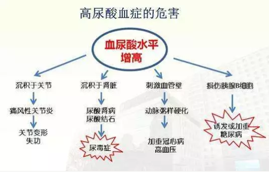 血糖、尿酸、血脂一网打尽，氢水体检报告