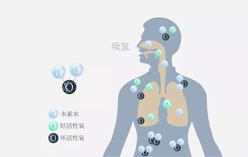 <b>吸氢气有啥用？氢气吸入有什么好处呢？救命！</b>